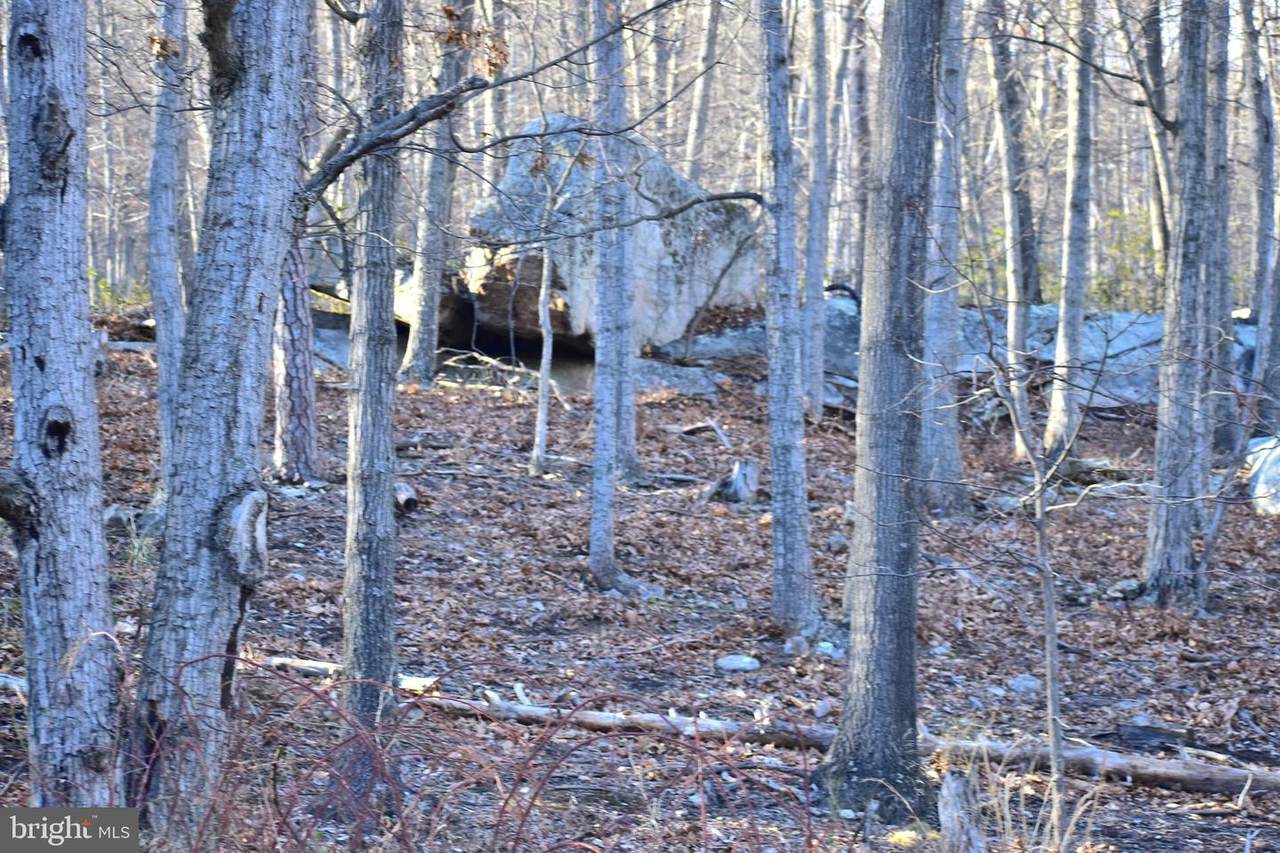 Lot 7 Elk Trail - Photo 1