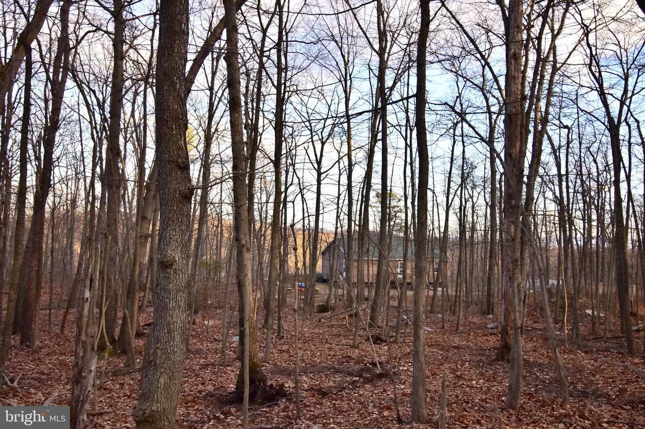 Lot 17 Fox Trail - Photo 1