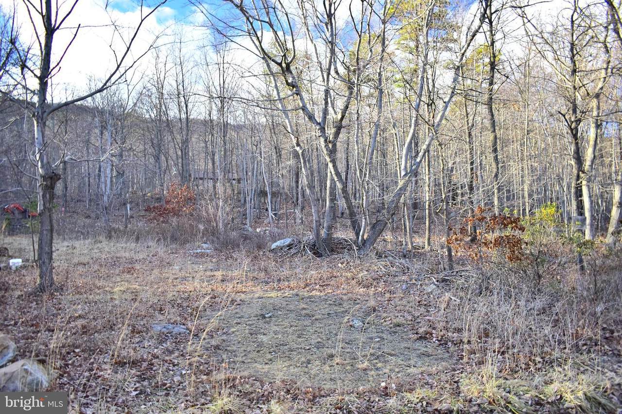 12 ELK TRAIL - Photo 1