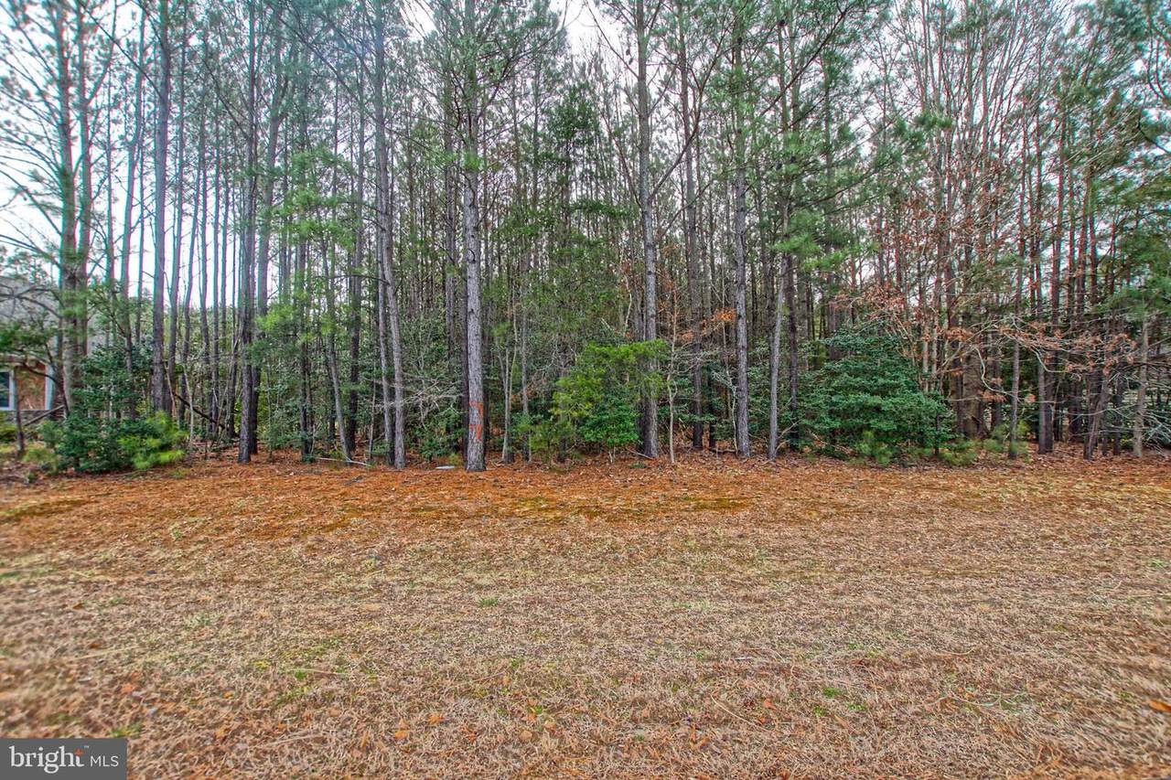24624 Hollytree Circle - Photo 1