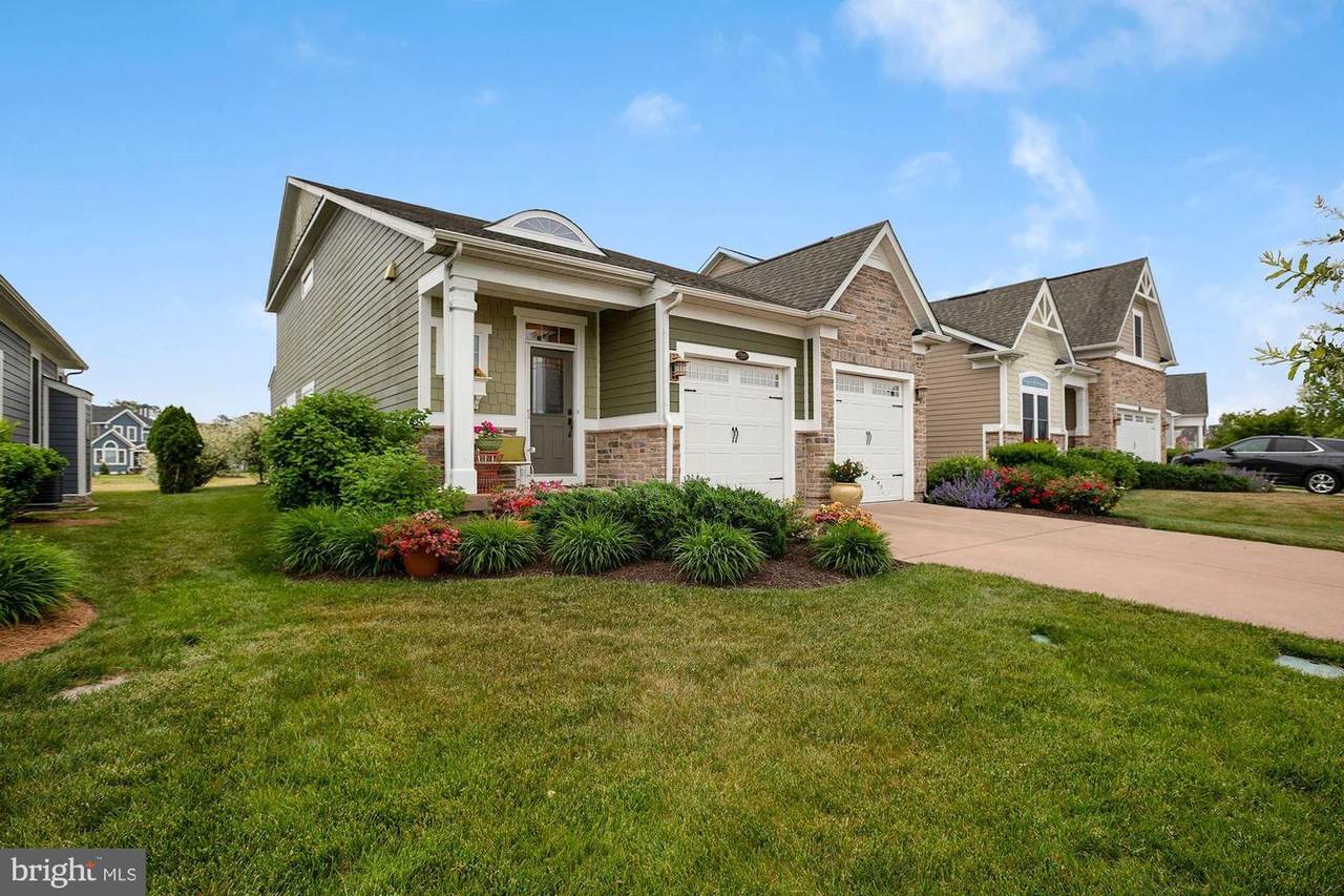 27043 Firefly Boulevard - Photo 1