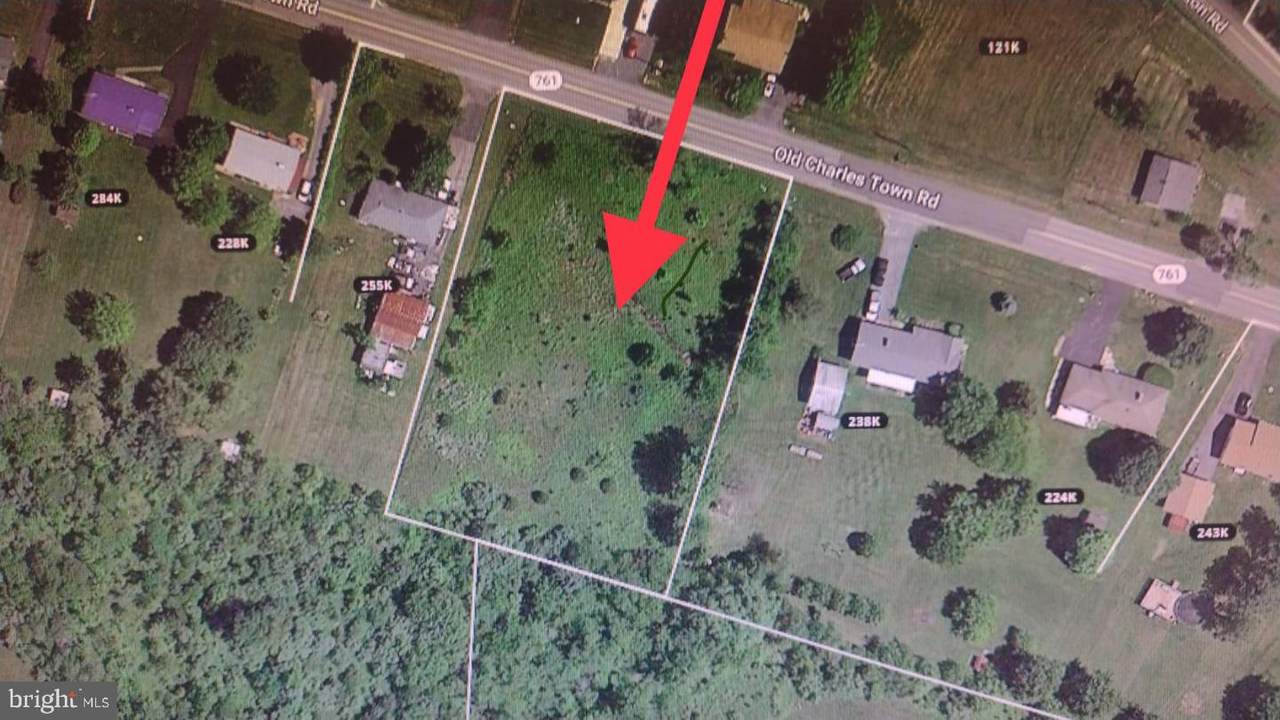 Old Charles Town Road - Photo 1