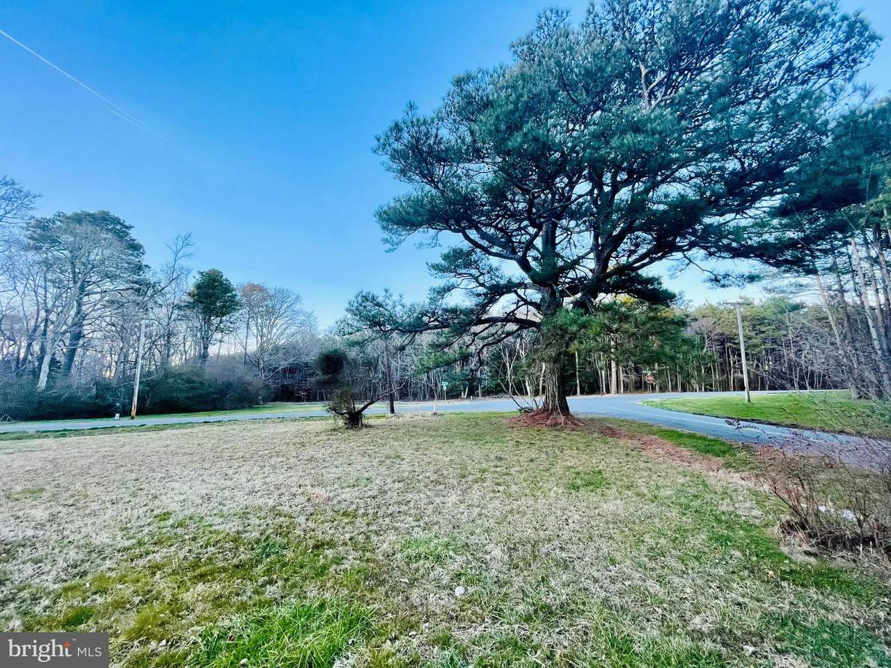 1339 Buck Harbor Road - Photo 1