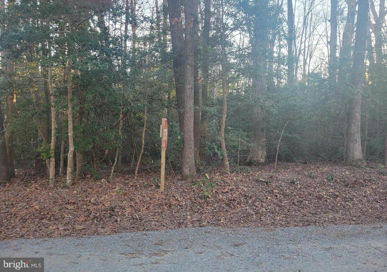 Ridgeview Lane - Photo 1