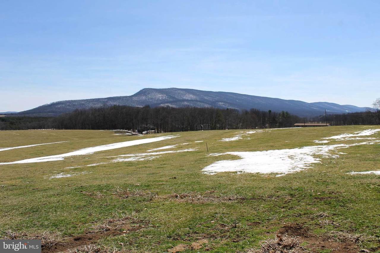 55.28 AC Ford Hill Rd - Photo 1