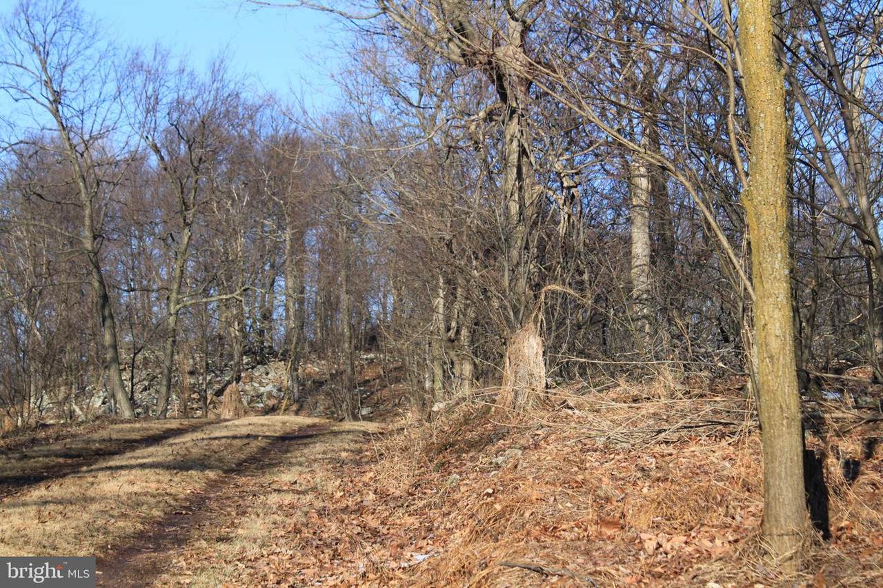 . Corbin Road - Photo 1