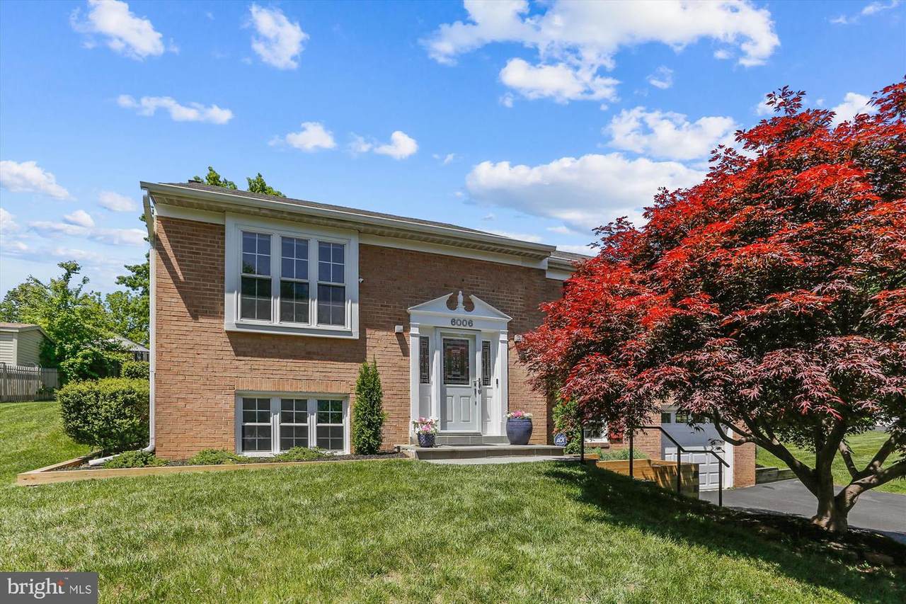 6006 Bitternut Drive - Photo 1