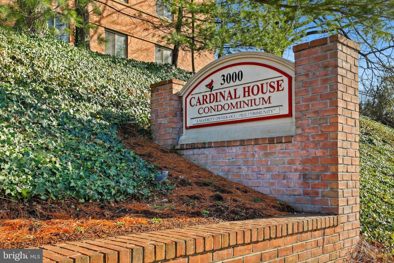 3000 Spout Run Parkway - Photo 1