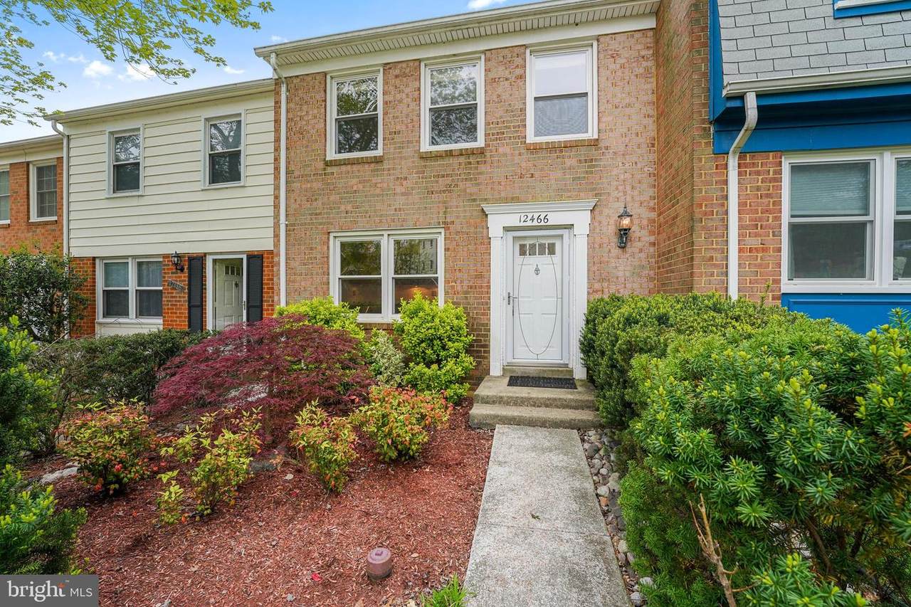 12466 Skipper Circle - Photo 1