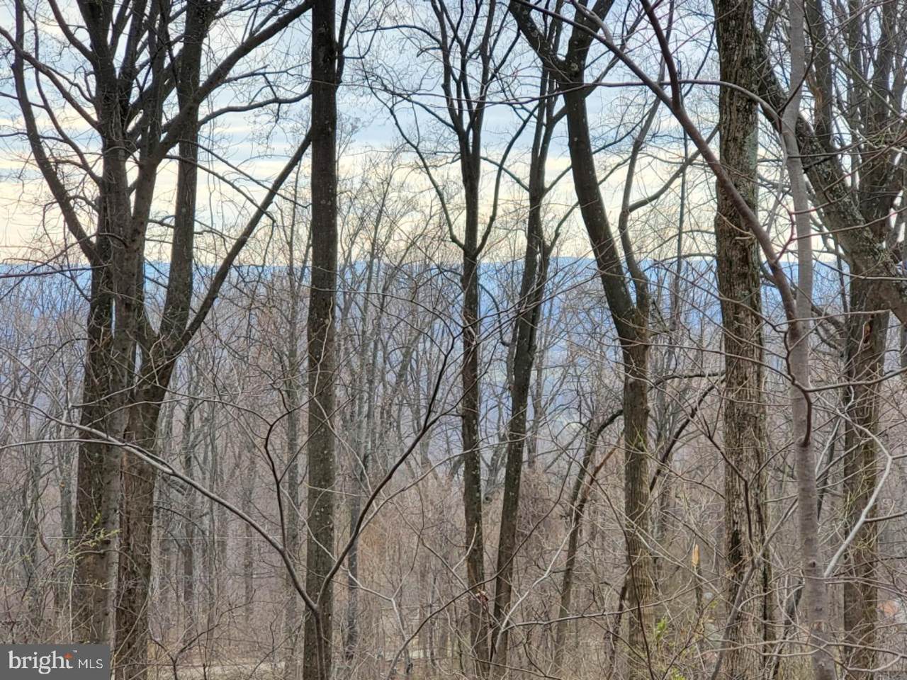 Lot 618 Gayles Circle - Photo 1