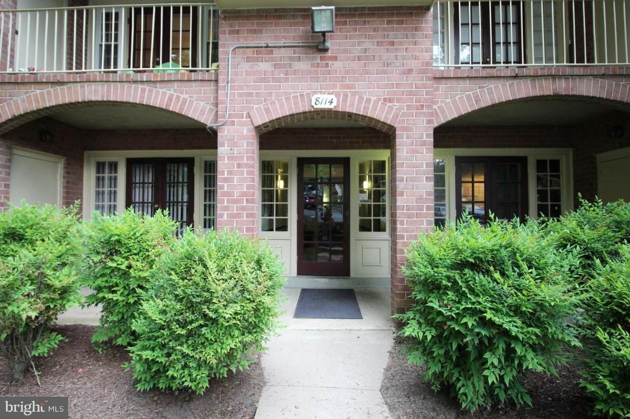 8114-G Colony Point Road - Photo 1