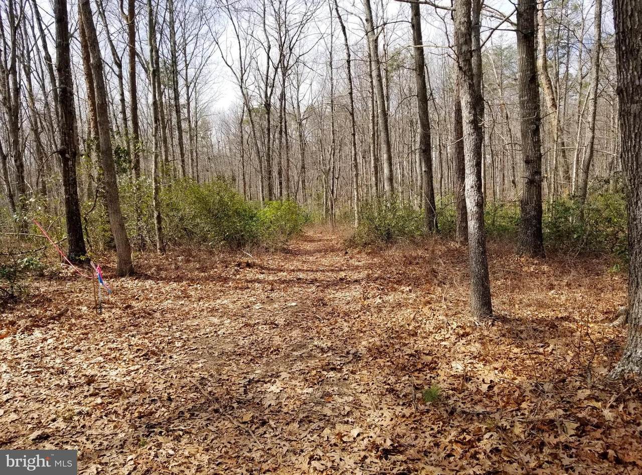 Independence Road - Photo 1