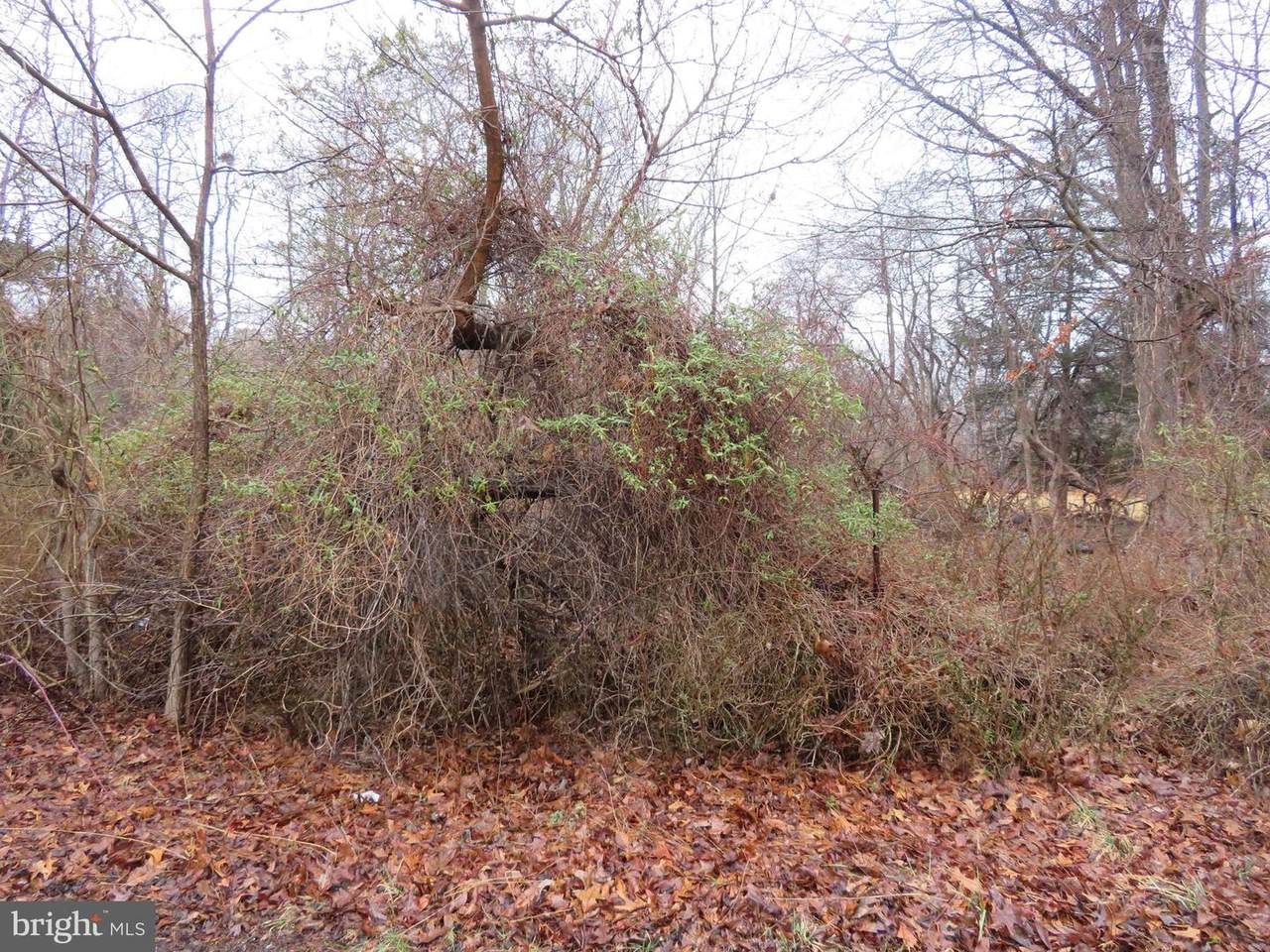 291 Broadlane Road - Photo 1