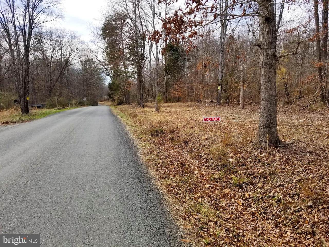Twymans Mill Road - Photo 1