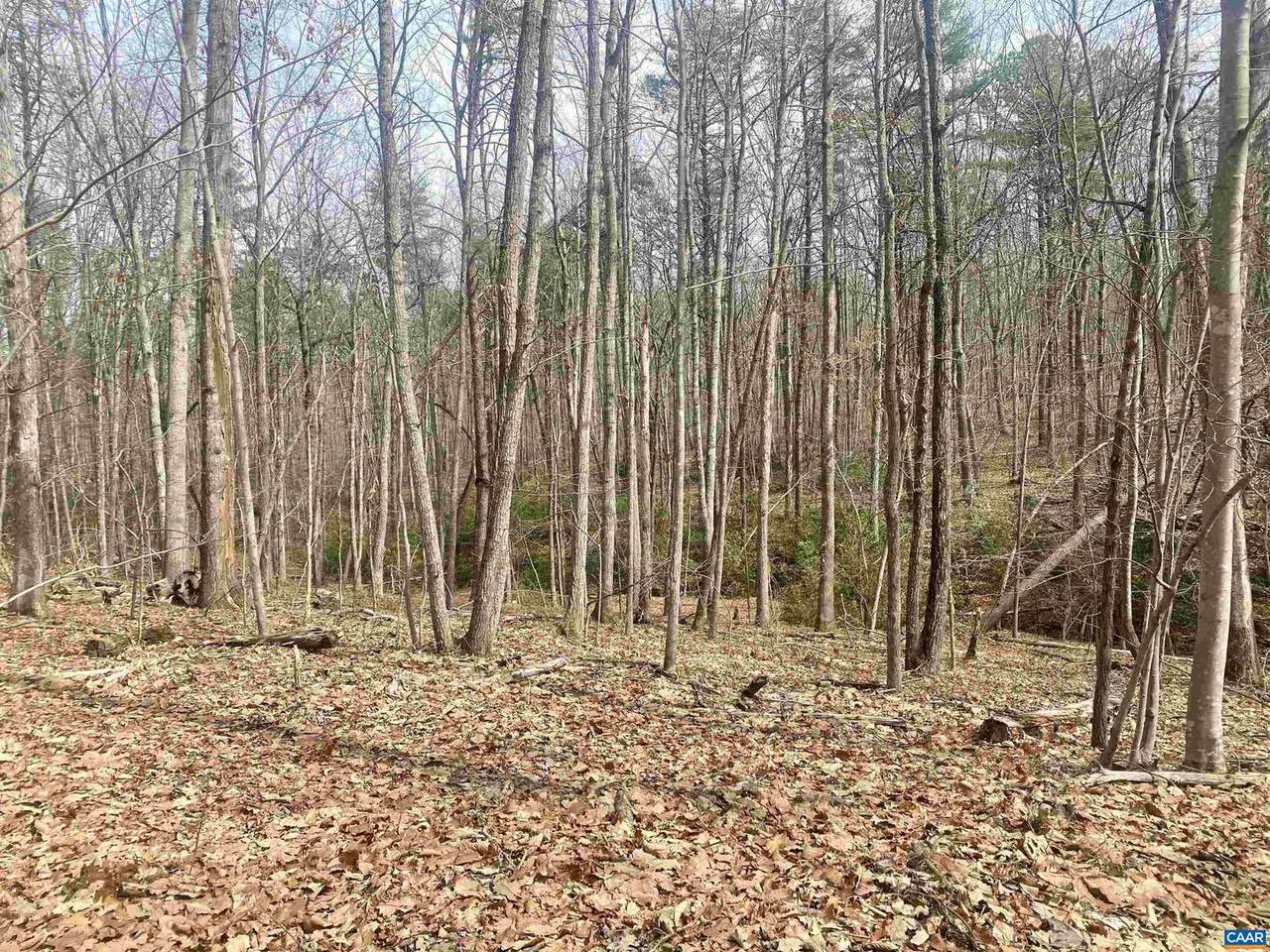 Lot 45A Buck Island Rd - Photo 1