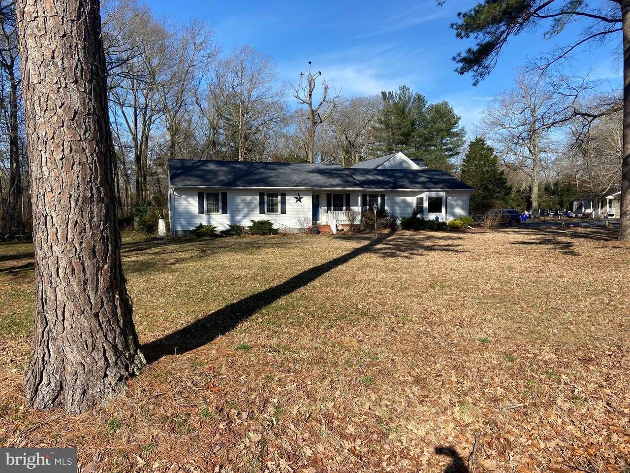 25160 Indian Branch Road - Photo 1