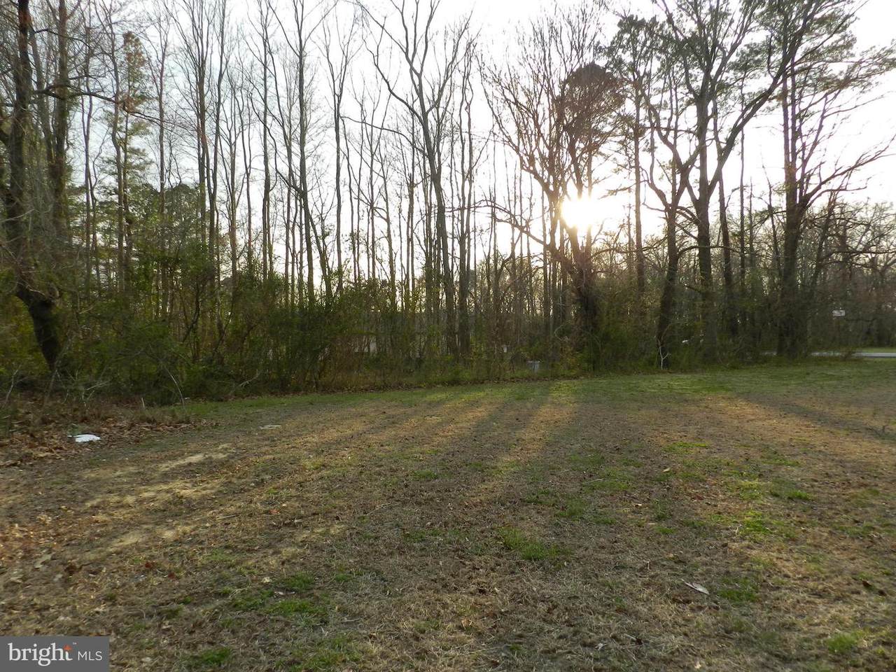 18466 Whaleys Corner Road - Photo 1