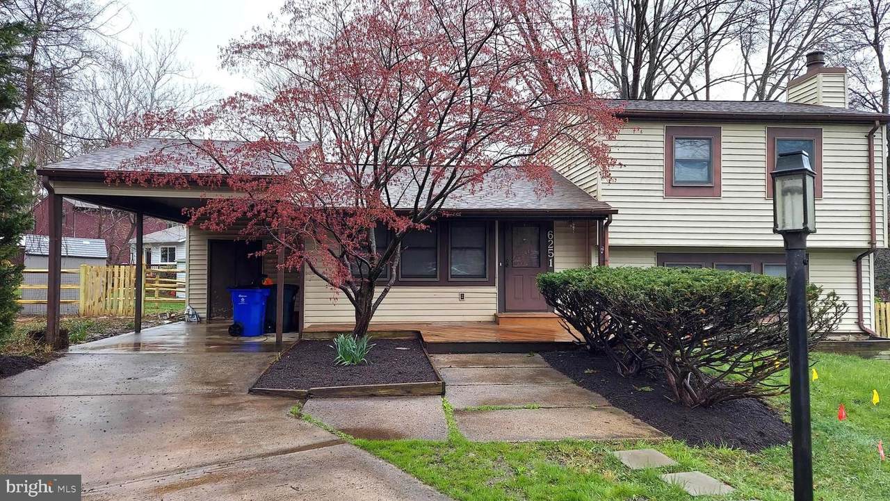 6251 Parallel Lane - Photo 1
