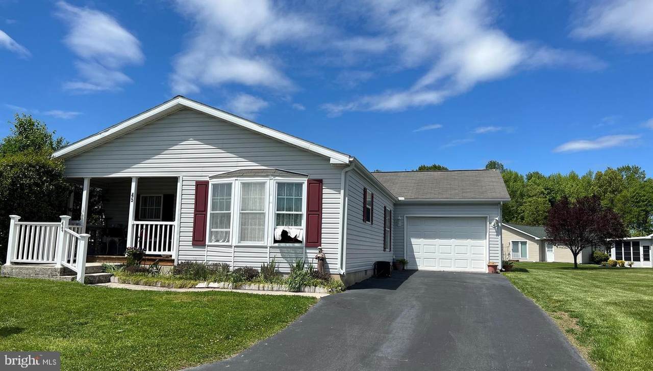 45 Molly Court - Photo 1