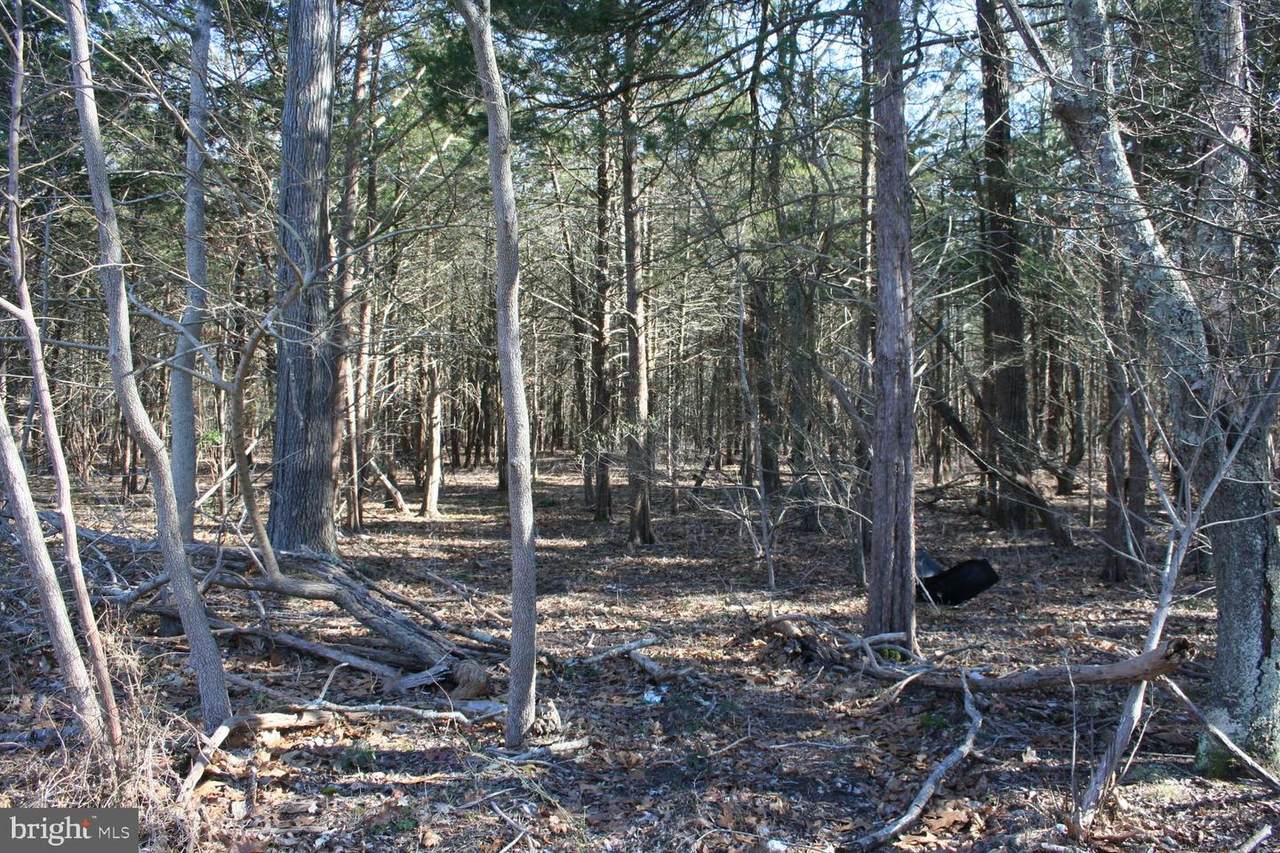 2012 Coles Mill - Photo 1