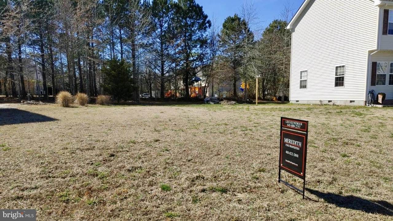 117 Morgan Run - Photo 1