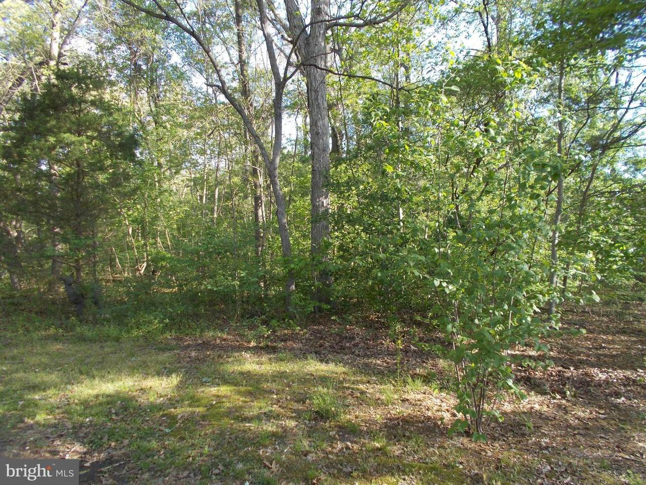 6812-2 Eldorado Road - Photo 1