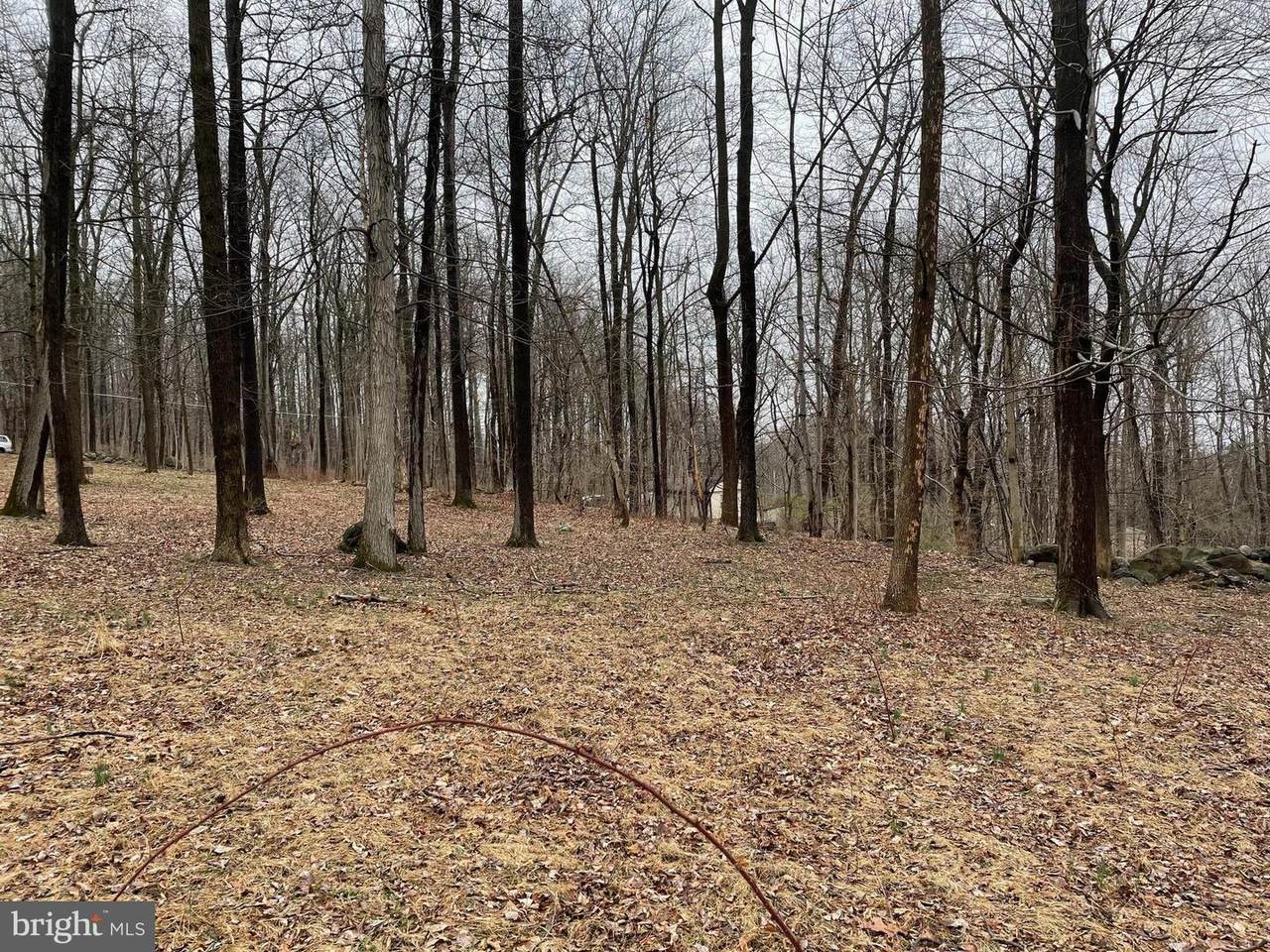 Lot 2 Goat Hill Rd - Photo 1