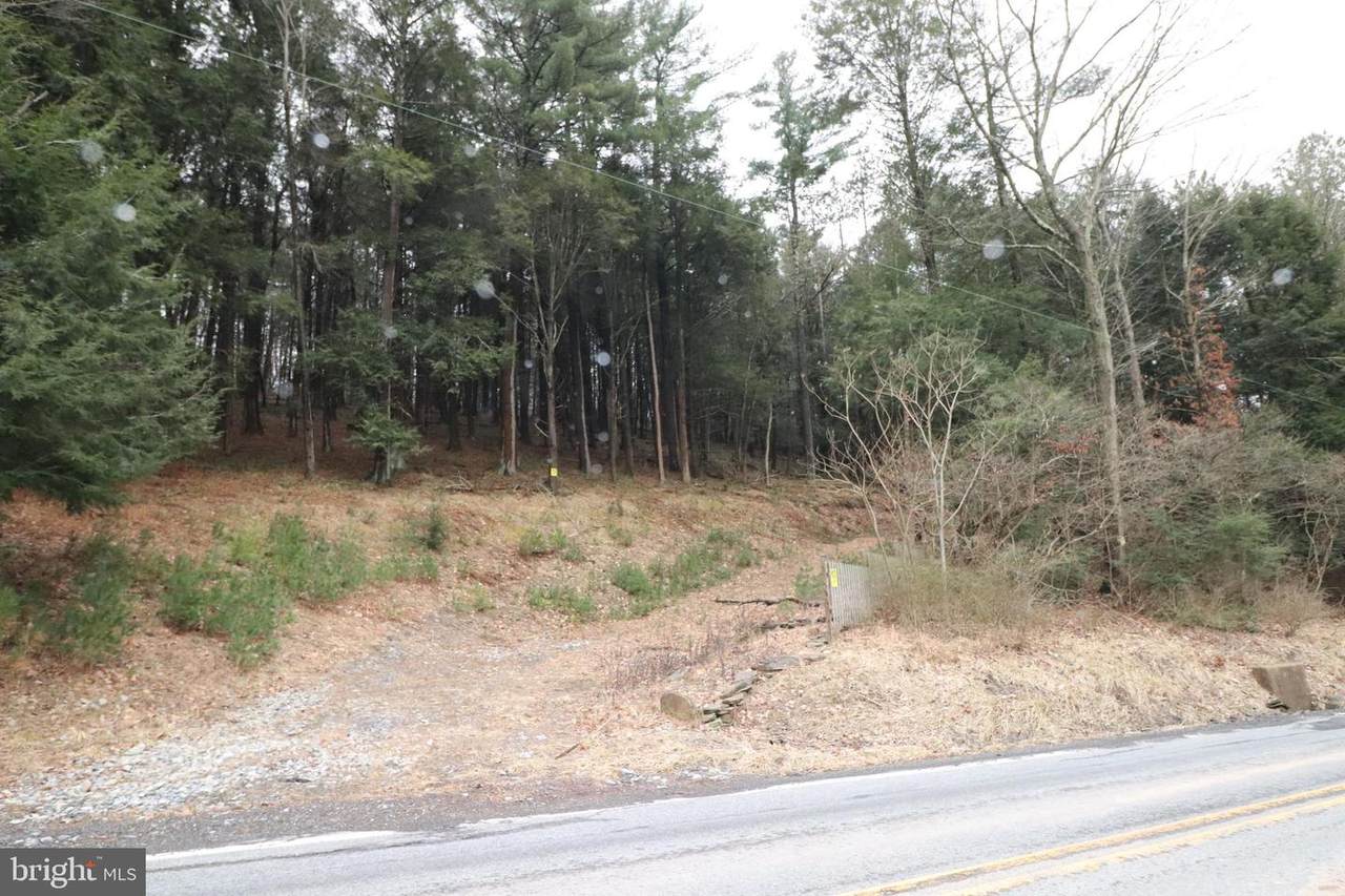 0 Spruce Hollow Road - Photo 1