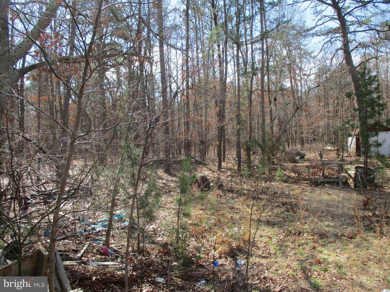 106 Martin L King Avenue - Photo 1