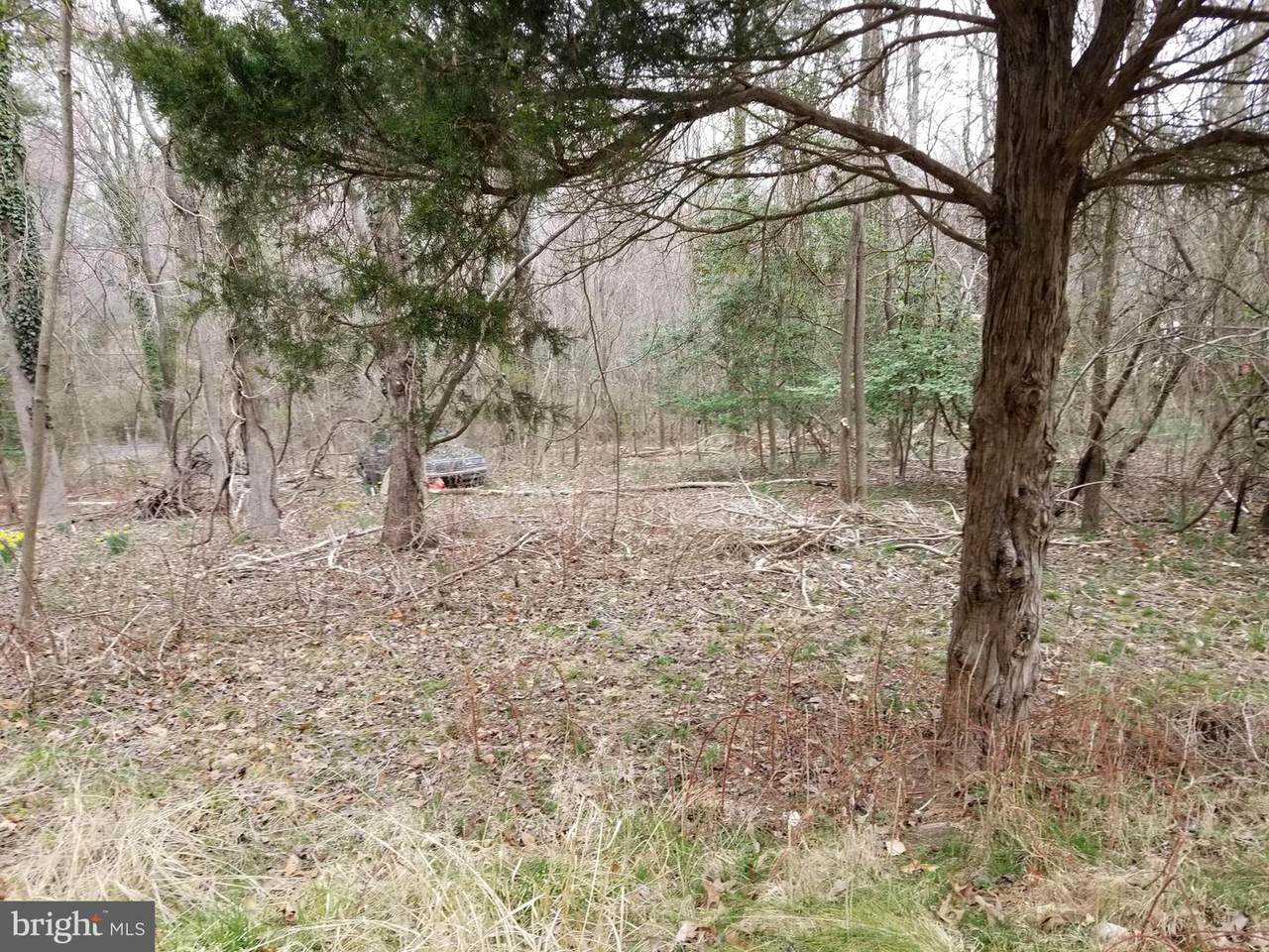 23206 Neck Road - Photo 1