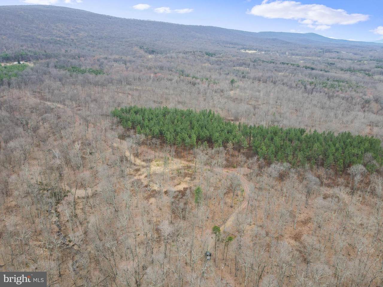 Rattlesnake Circle - Photo 1