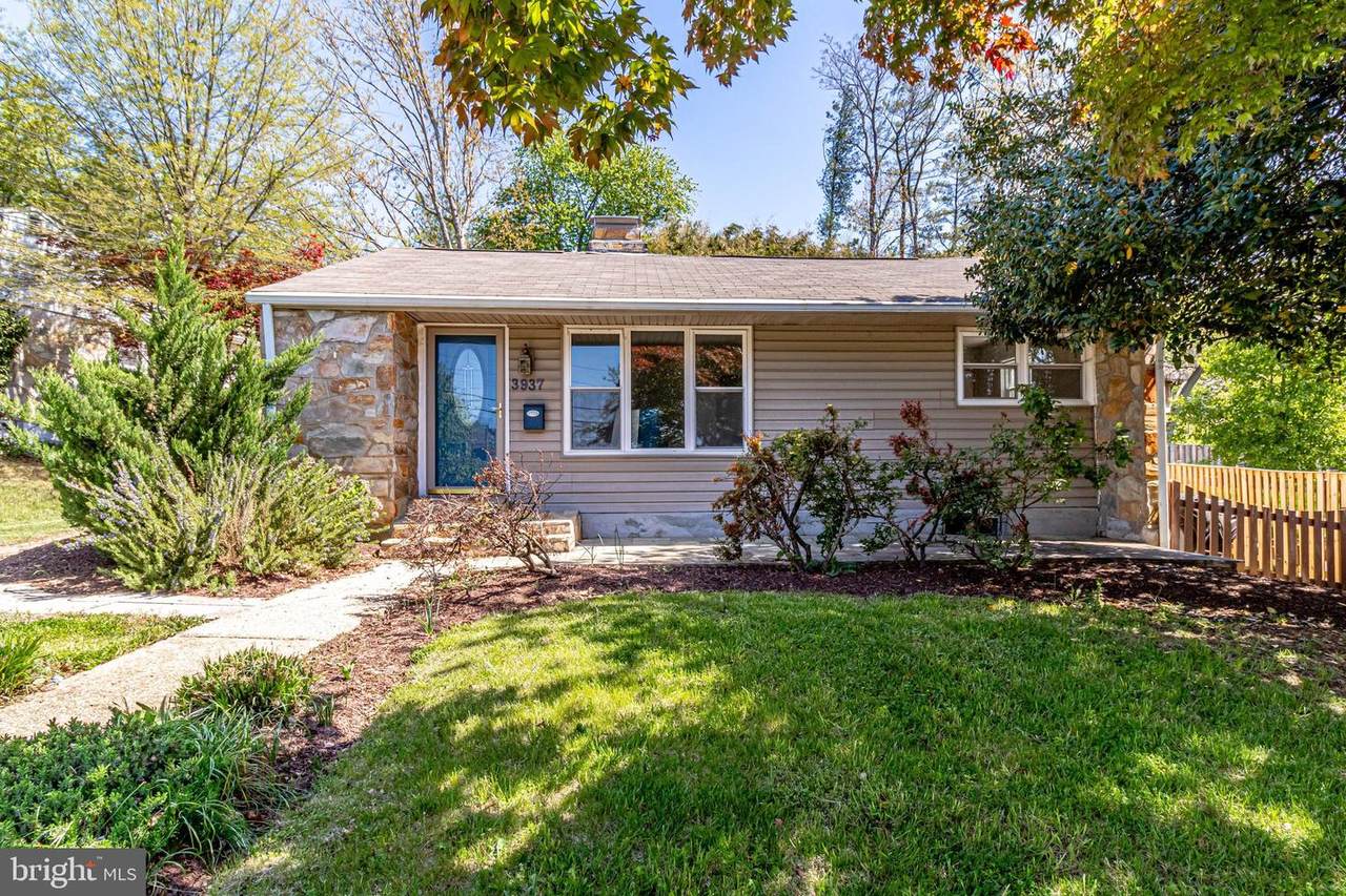 3937 Taney Avenue - Photo 1