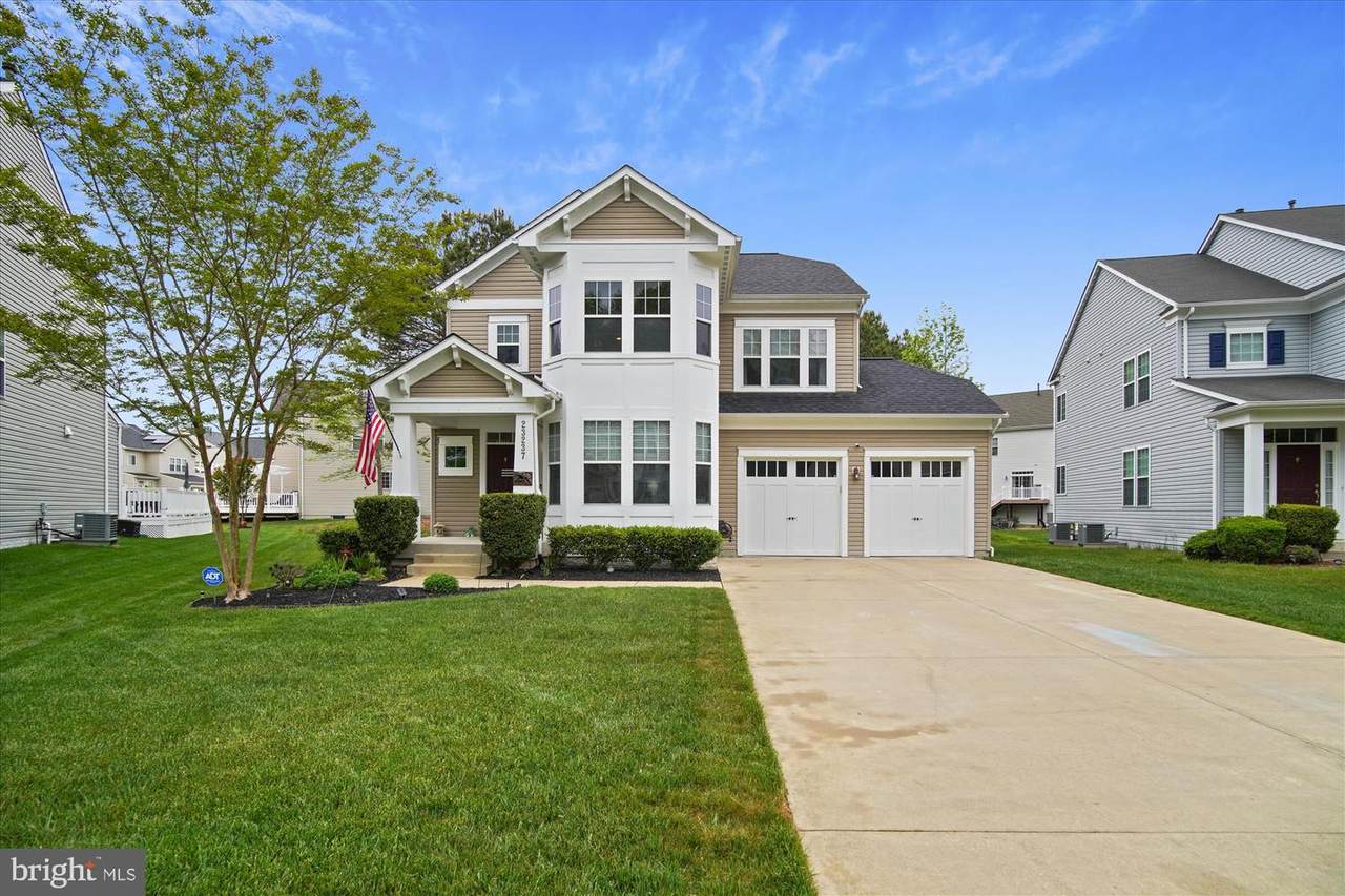 23237 Wild Daisy Way - Photo 1