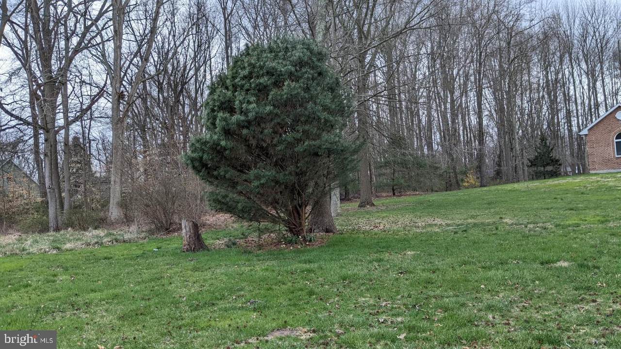 454 Woods Road - Photo 1