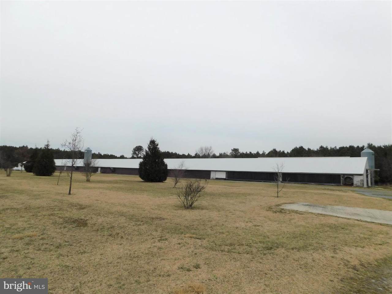 000 Whitesville Rd - Photo 1