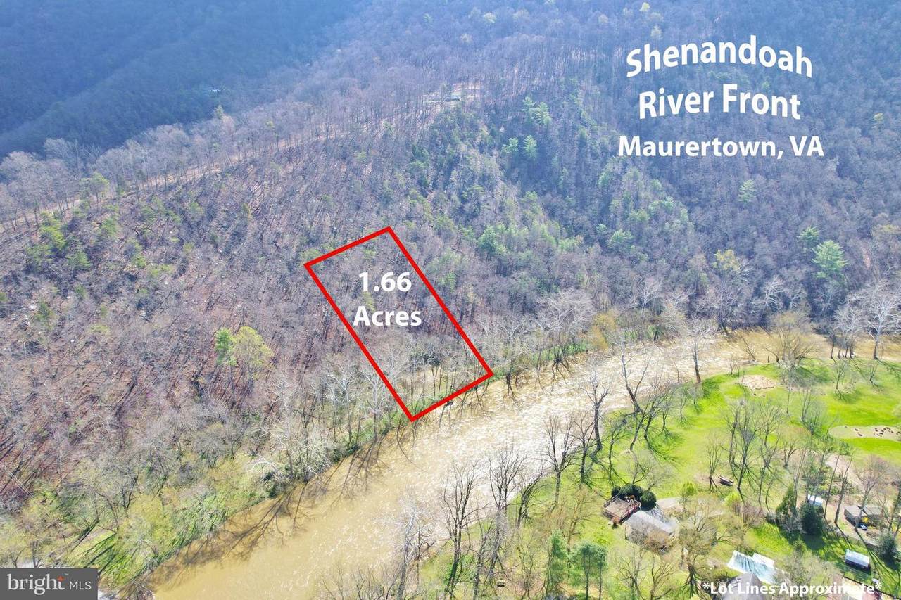 Bear Paw Road - Photo 1