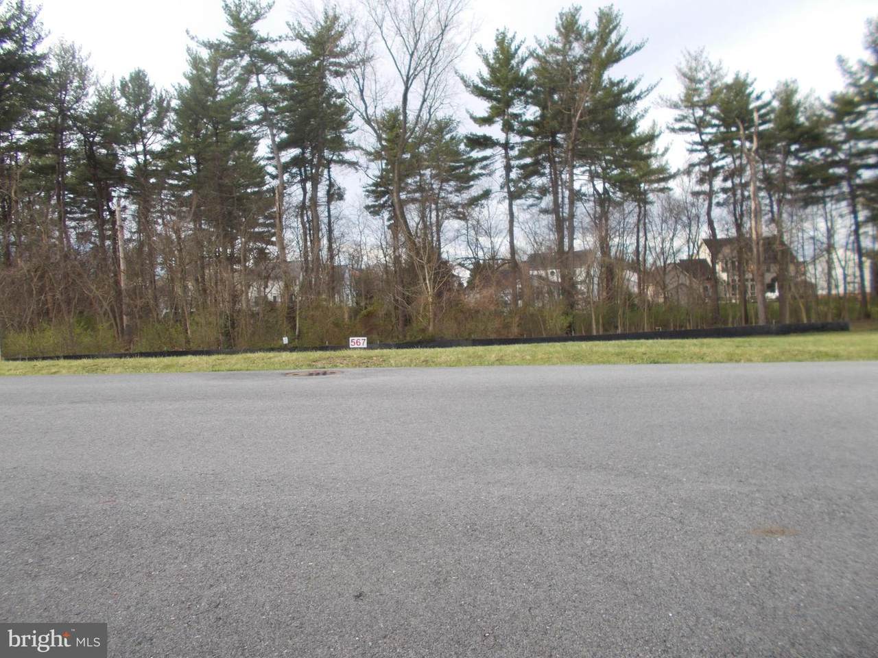 10823 Hershey Drive - Photo 1