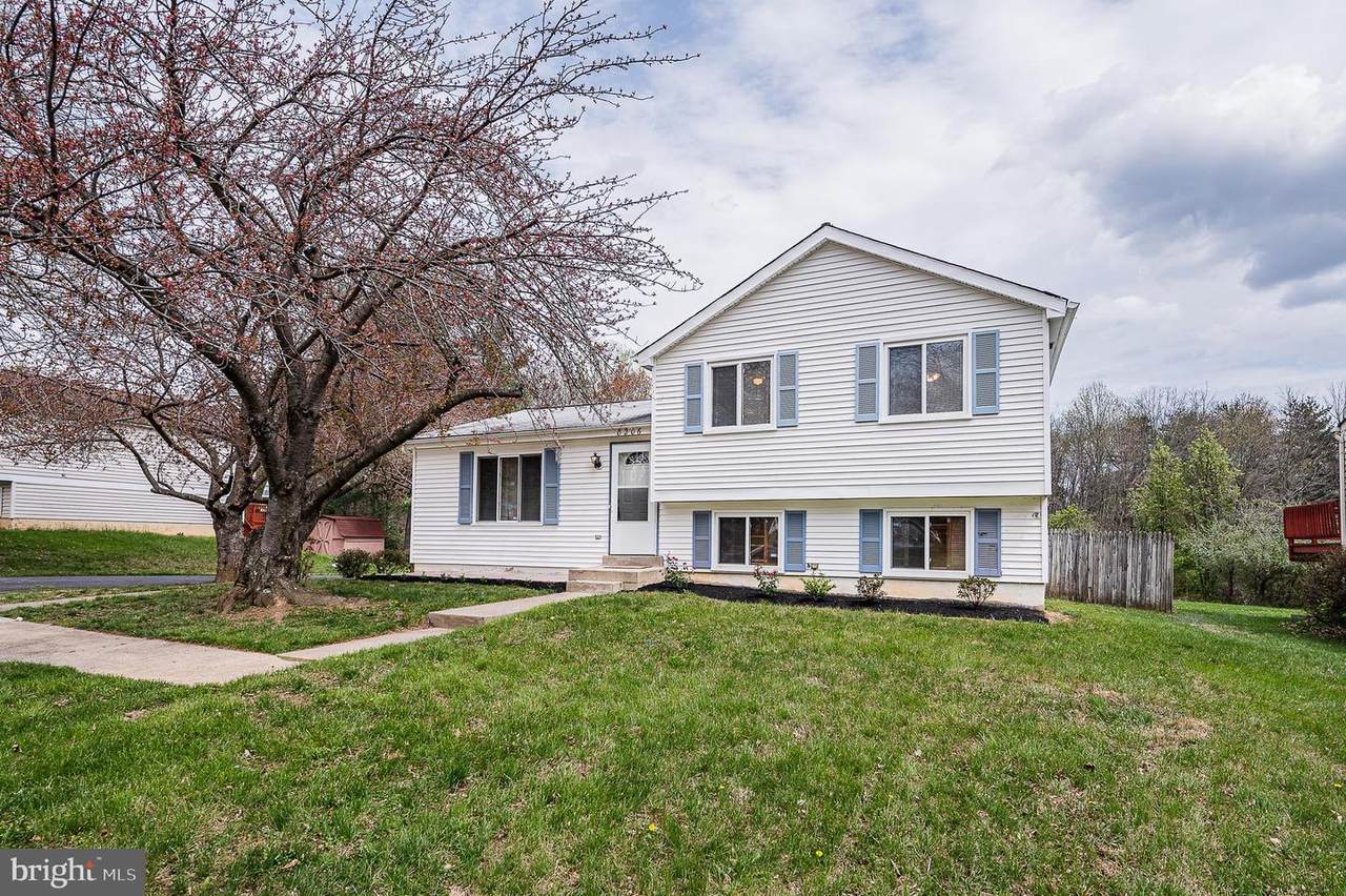 8206 Mary Lee Lane - Photo 1