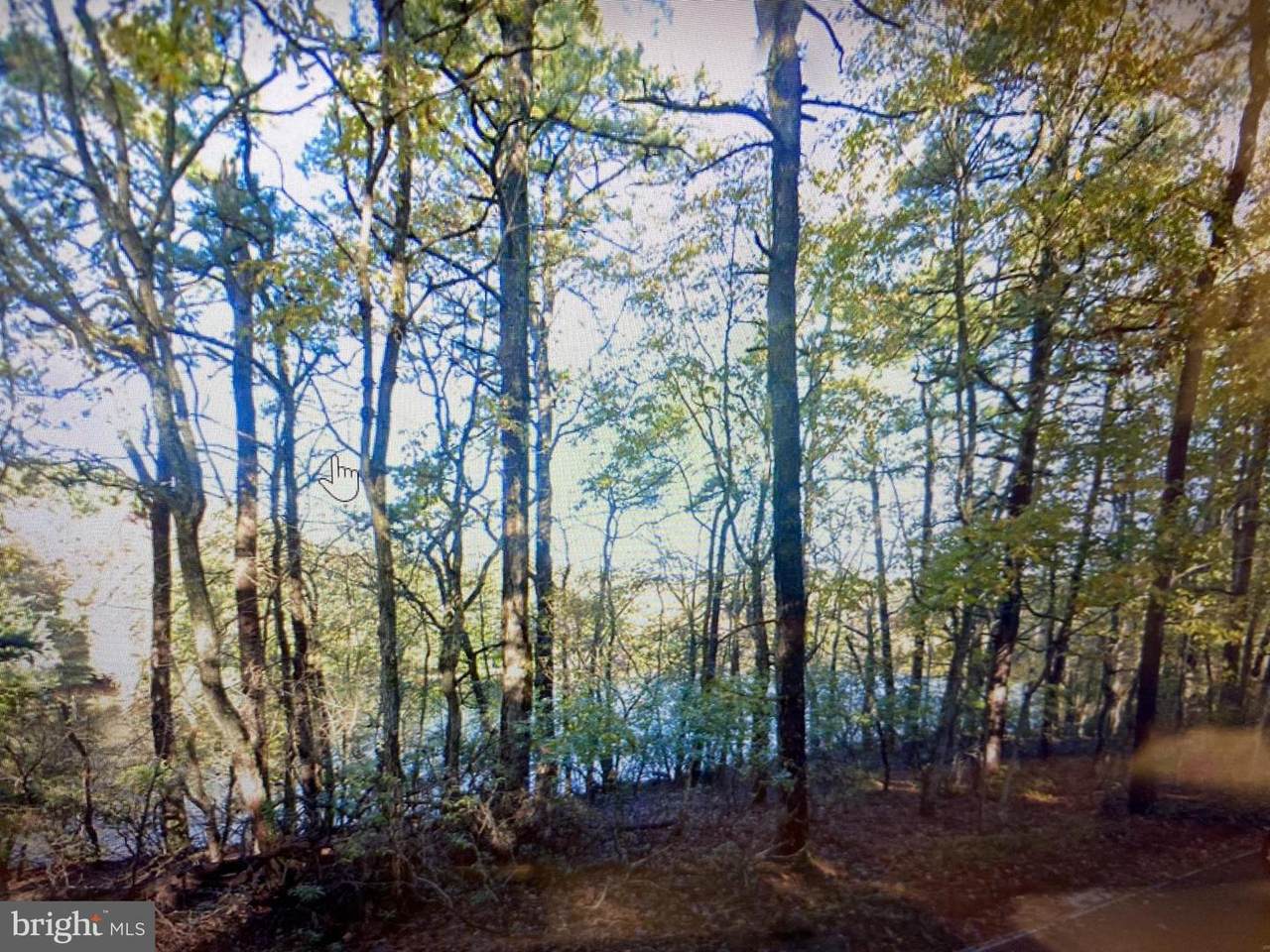100 Hinchman Rd - Photo 1