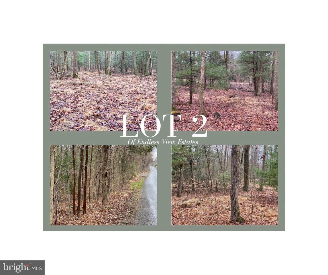Lot 2 Hickory Ridge Rd - Photo 1