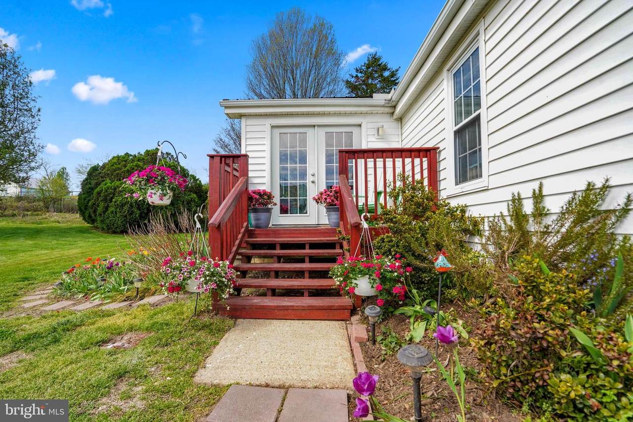 15775 Mount Calvert Road - Photo 1