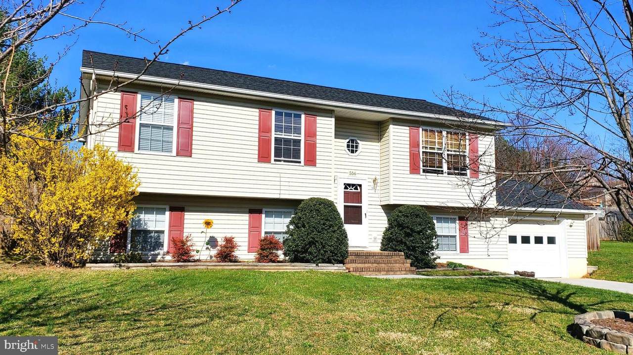 556 Lewis Street - Photo 1