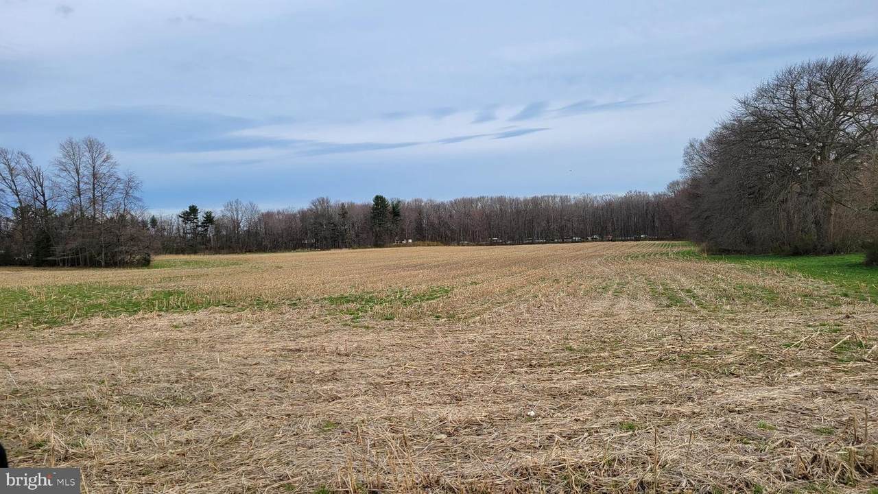 2334 Old York Road - Photo 1
