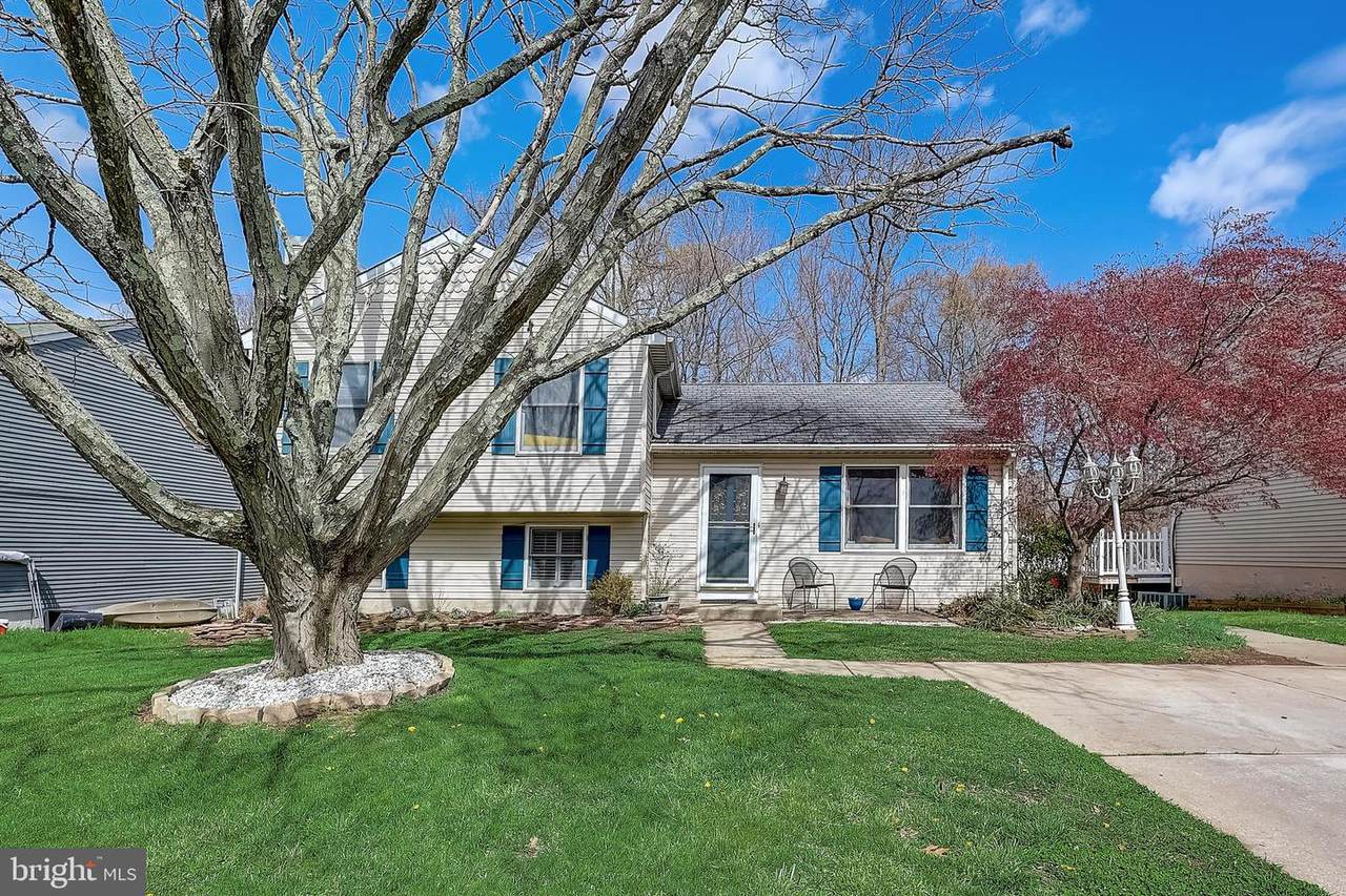 70 Yew Road - Photo 1