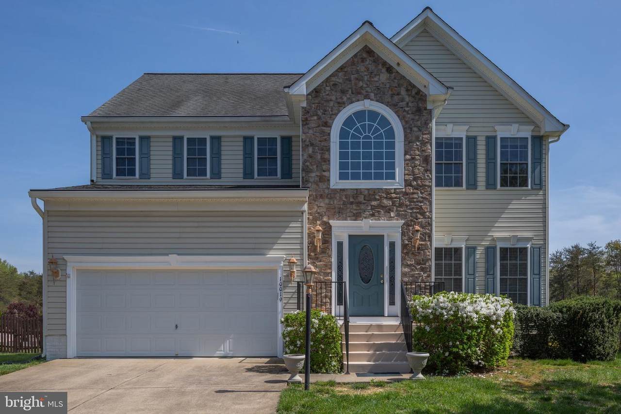 10019 Betsy Street - Photo 1