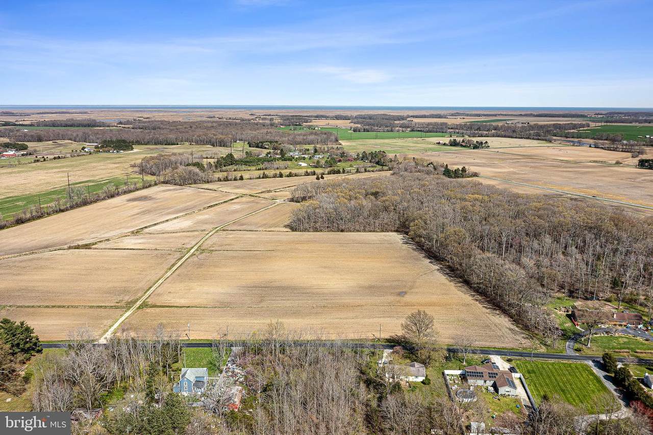 0 Leipsic Road - Photo 1