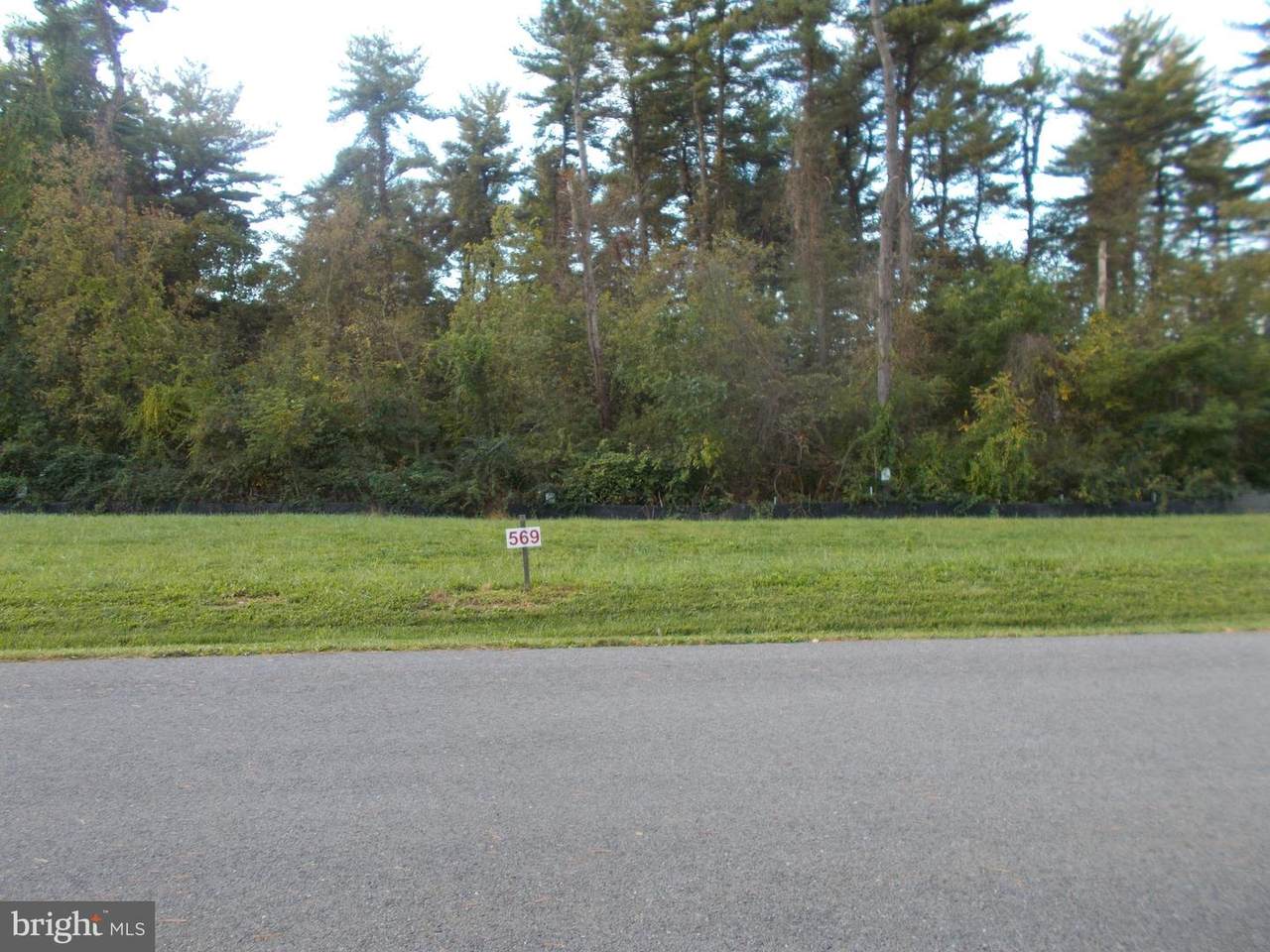 10831 Hershey Drive - Photo 1