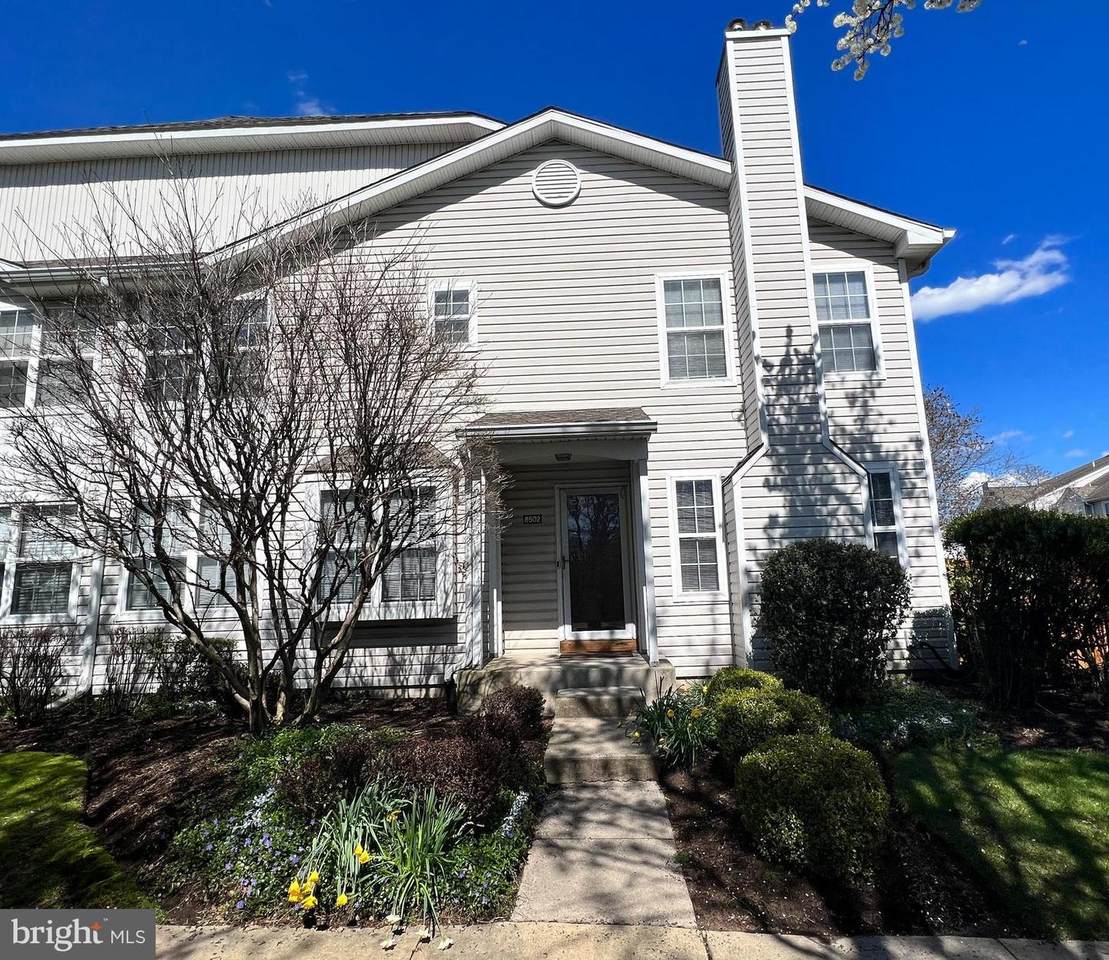 8502 Spruce Mill Drive - Photo 1
