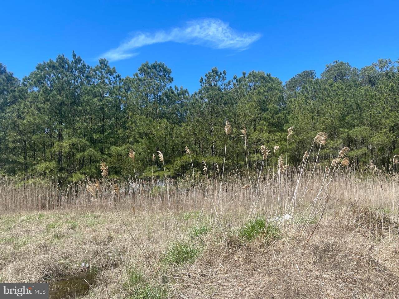 2896 Byrdtown Road - Photo 1