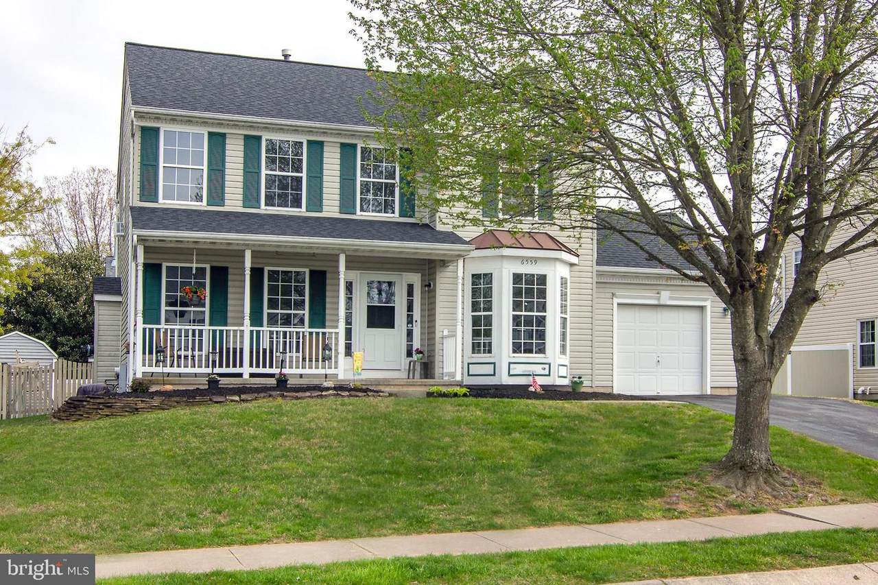 6559 Kali Drive - Photo 1